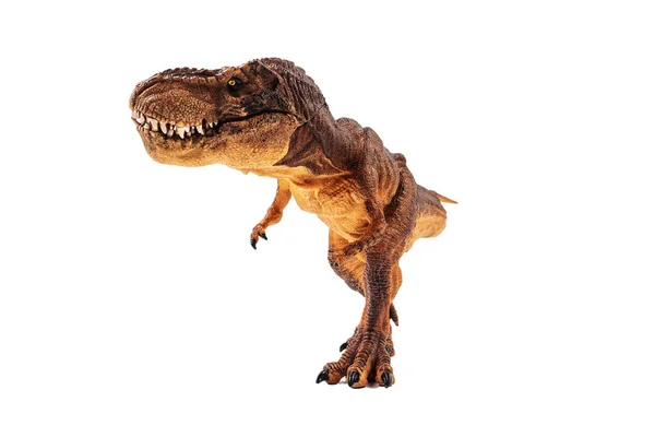 Tyrannosaurus rex, dinosaurie på vit bakgrund — Stockfoto