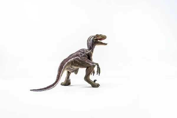 Dinosaure, Velociraptor sur fond blanc — Photo