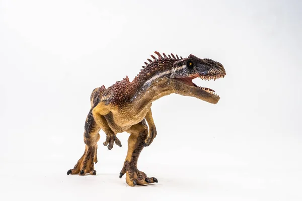 Allosaurus, dinossauro sobre fundo branco — Fotografia de Stock