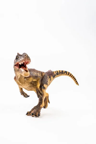 Allosaurus, dinosaurio sobre fondo blanco — Foto de Stock