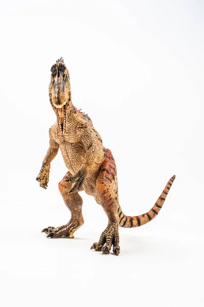 Cryolophosaurus, dinosaurie på vit bakgrund — Stockfoto