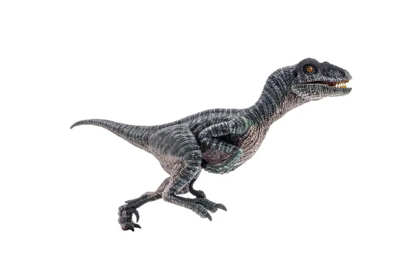 白い背景の恐竜ヴェロキラプトル — ストック写真