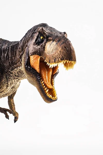 Tyrannosaurus T-Rex, dinosaurus na bílém pozadí — Stock fotografie
