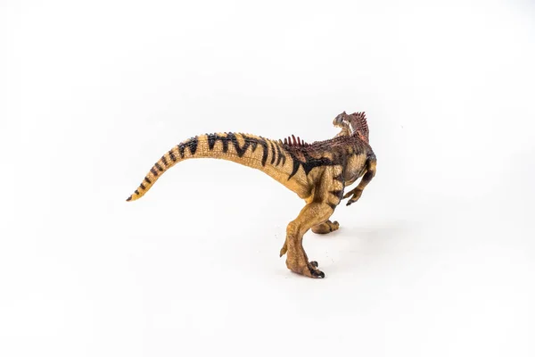 Allosaurus, Dinosaurier auf weißem Hintergrund — Stockfoto