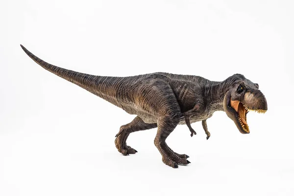 티라노 사우루스 T-렉스, 흰색 배경에 공룡 — 스톡 사진
