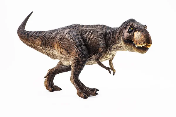 Tyrannosaurus T-Rex, dinoszaurusz, fehér alapon — Stock Fotó