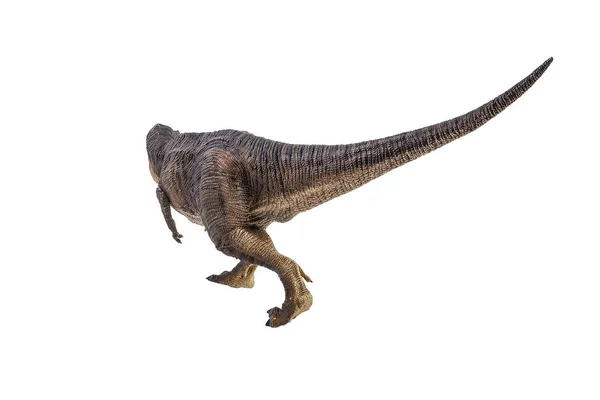 Tiranossauro T-rex, dinossauro sobre fundo branco — Fotografia de Stock