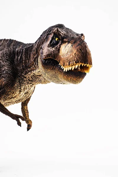 Tyrannosaurus t-rex, Dinosaurier auf weißem Hintergrund — Stockfoto