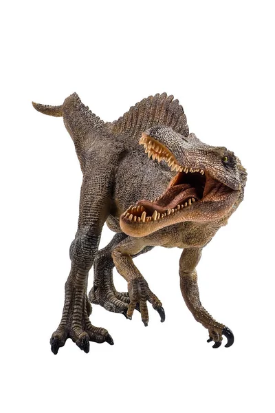 Spinosauro, dinosauro su sfondo bianco — Foto Stock