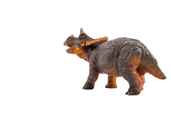 Baby Triceratops, dinosaurie på vit bakgrund — Stockfoto