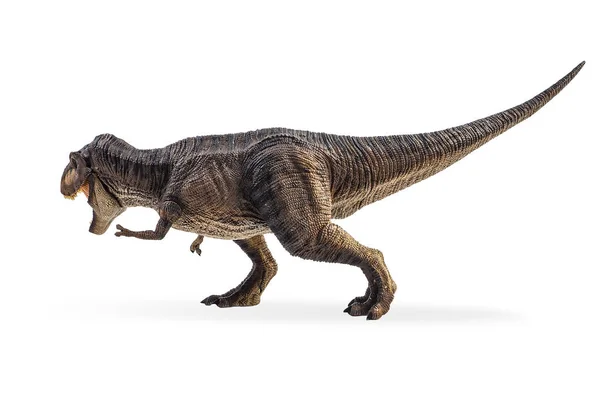 ティラノサウルスT-レックス、白い背景に恐竜 — ストック写真