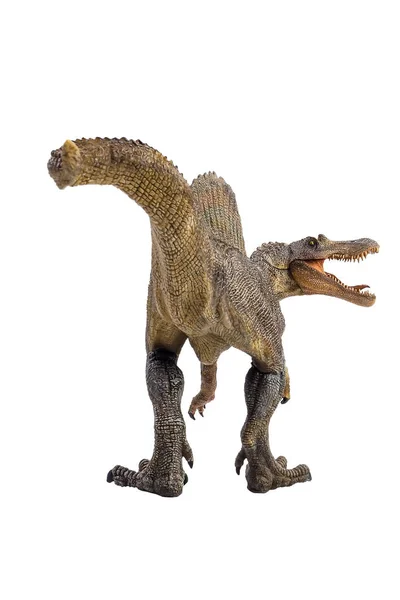 スピノサウルス、白い背景に恐竜 — ストック写真