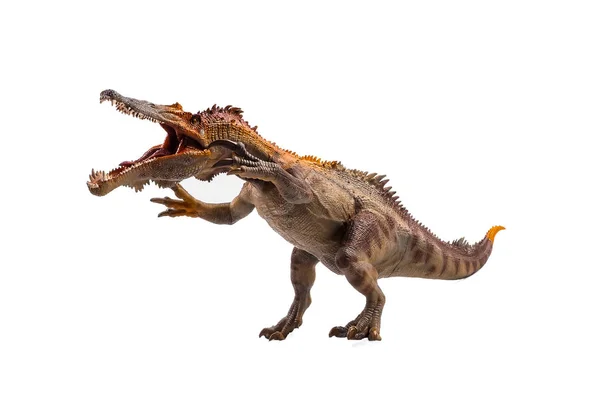 Baryonyx, dinosaurus na bílém pozadí — Stock fotografie