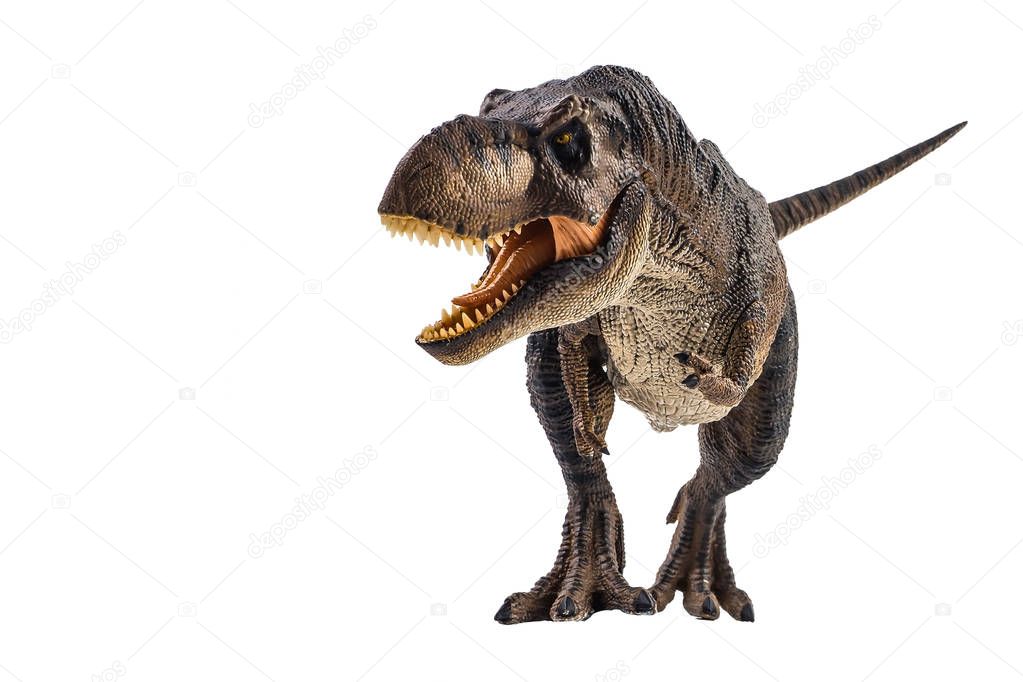 Tyrannosaurus T-rex ,dinosaur on white background 