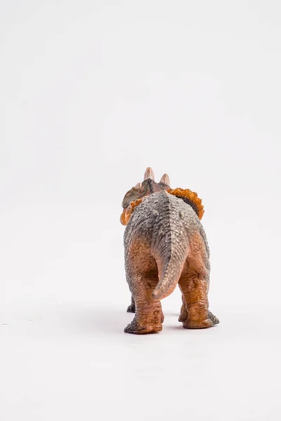 Baby Triceratops, dinosaurus na bílém pozadí — Stock fotografie