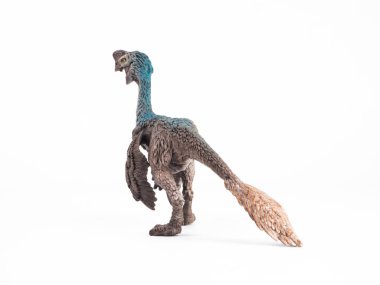 Beyaz arkaplanda Oviraptor Dinozor