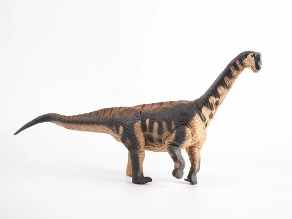 Camarasaurus dinosaurus na bílém pozadí — Stock fotografie