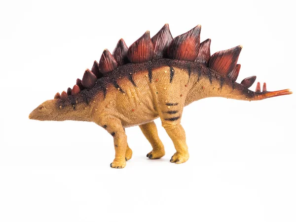 Stegosaurus dinosaurus op witte achtergrond — Stockfoto
