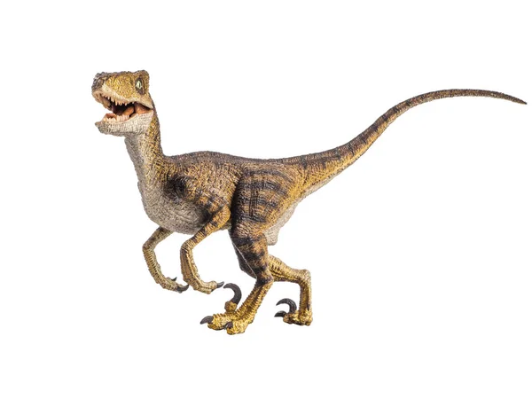 Velociraptor dinosaurus op witte achtergrond — Stockfoto