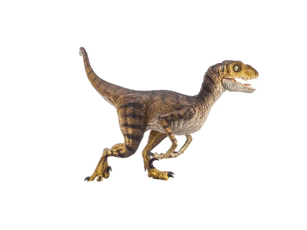 Динозавр велоцираптора на белом фоне — стоковое фото
