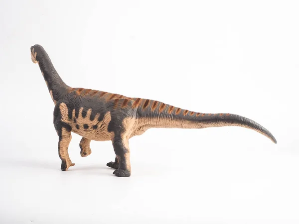 Camarasaurus dinosaurus na bílém pozadí — Stock fotografie