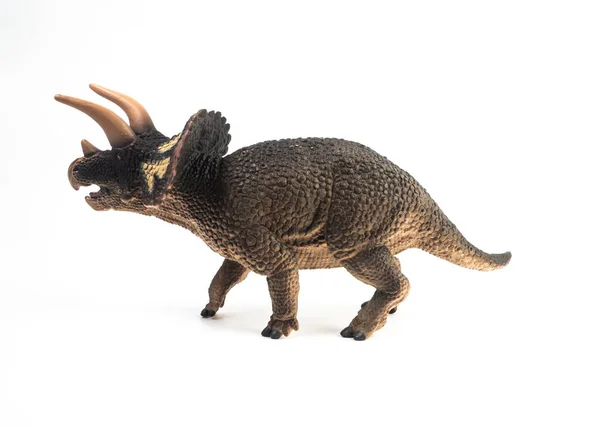 흰 배경에 있는 트리케라톱스 공룡 — 스톡 사진