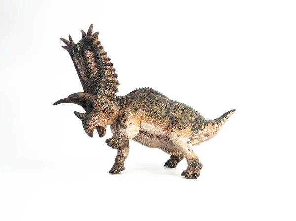 Pentaceratops Dinosaur на білому тлі — стокове фото