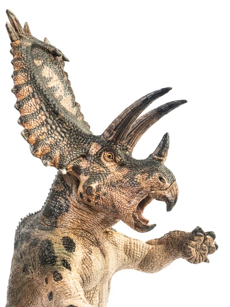 Pentaceratops Dinosauro su sfondo bianco — Foto Stock