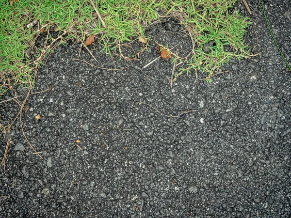 Closeup of the road and green grass — Stock Photo, Image