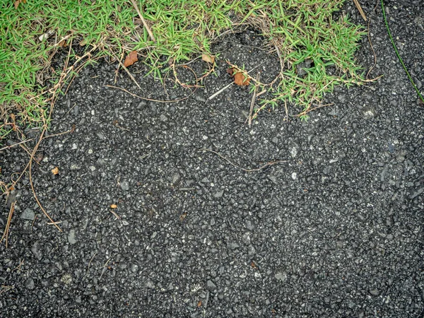 Primo piano della strada ed erba verde — Foto Stock