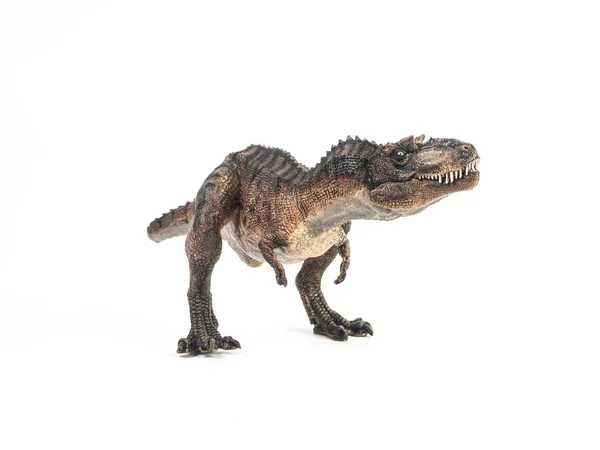 Dinossauro Gorgosaurus sobre fundo branco — Fotografia de Stock