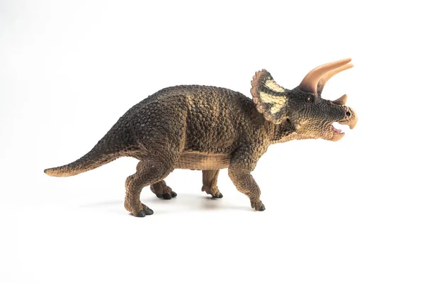 Triceratops dinozaur na białym tle — Zdjęcie stockowe
