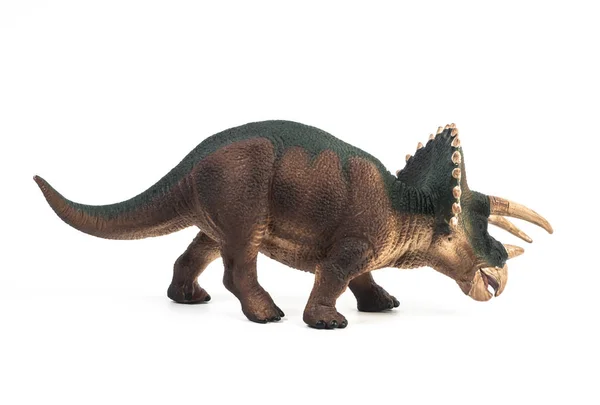 Dinosaurio triceratops sobre fondo blanco — Foto de Stock