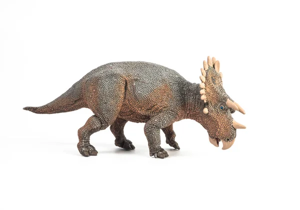 Regaliceratops Dinosaurio sobre fondo blanco — Foto de Stock