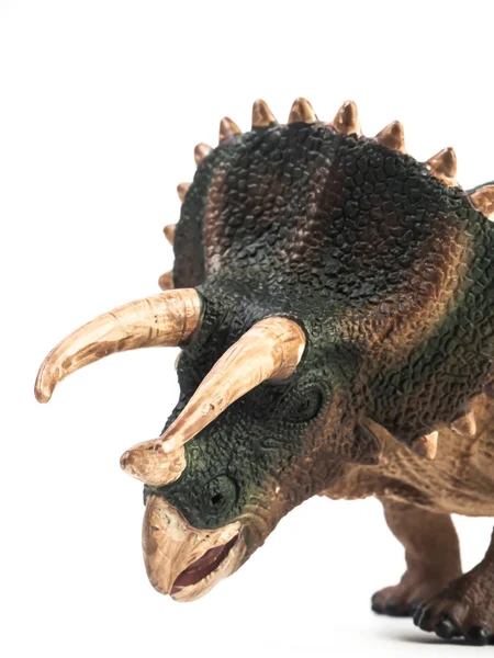 Triceratops dinosaurie på vit bakgrund — Stockfoto