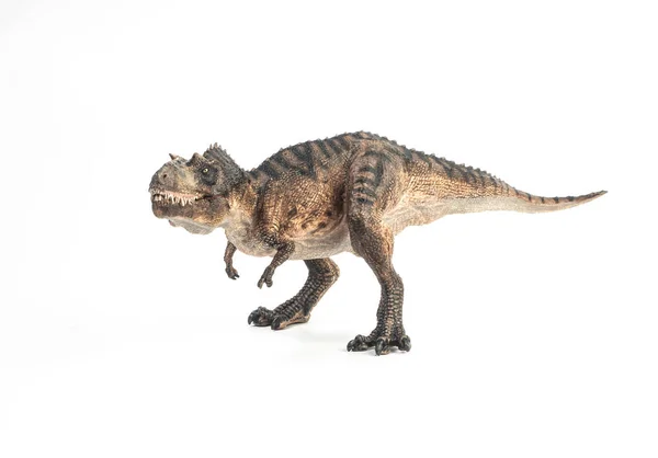 Gorgosaurus Dinosaure sur fond blanc — Photo