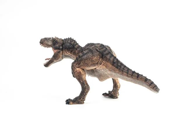 Dinosaurio Gorgosaurus sobre fondo blanco — Foto de Stock