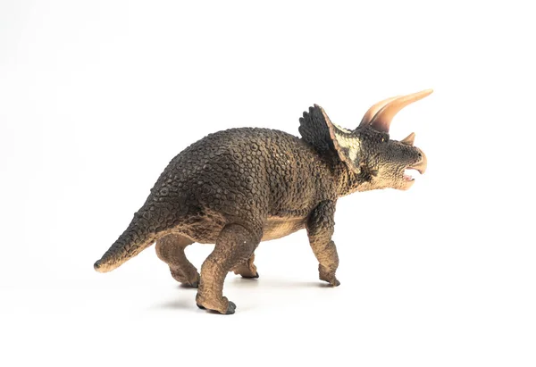 Dinossauro triceratops no fundo branco — Fotografia de Stock