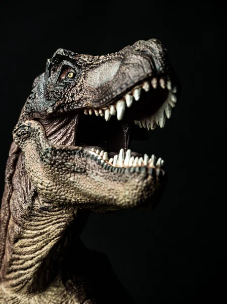 Tyrannosaurus T-Rex dinoszaurusz fekete háttér — Stock Fotó