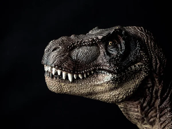 Tyrannosaurus T-Rex dinoszaurusz fekete háttér — Stock Fotó