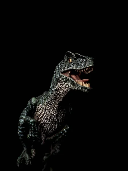 Dinosauro Velociraptor su sfondo nero — Foto Stock