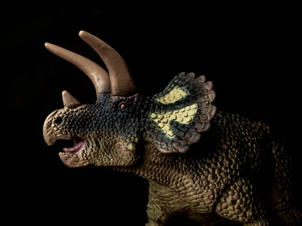 Dinosauro Triceratops su sfondo nero — Foto Stock