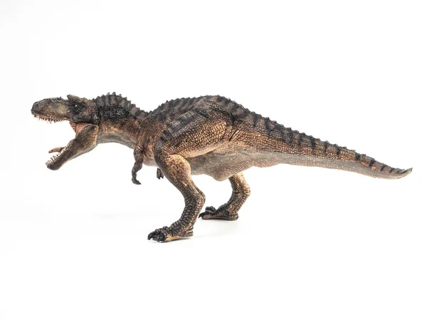 Dinossauro Gorgosaurus sobre fundo branco — Fotografia de Stock