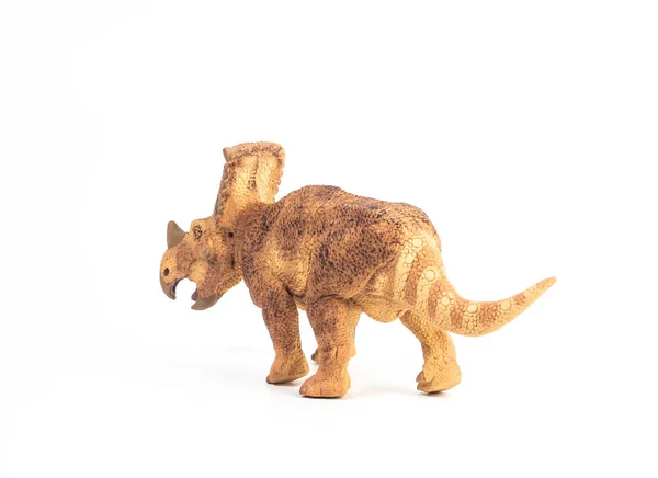 Vagaceratops Triceratops Dinozoru beyaz arka planda — Stok fotoğraf