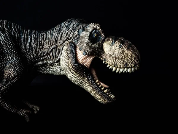 Tyrannosaurus t-rex Dinosaurier auf schwarzem Hintergrund — Stockfoto