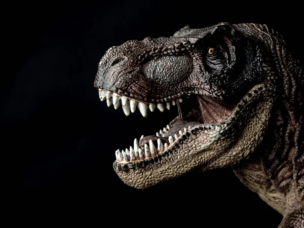 Tyrannosaurus T-Rex dinoszaurusz fekete háttér — Stock Fotó