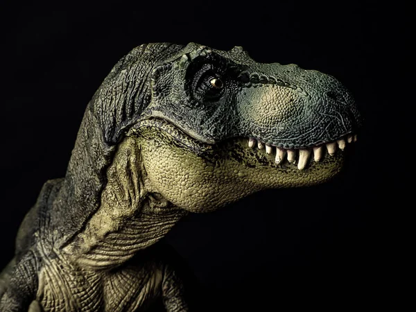 Tyrannosaurus T-Rex dinoszaurusz fekete háttér — Stock Fotó