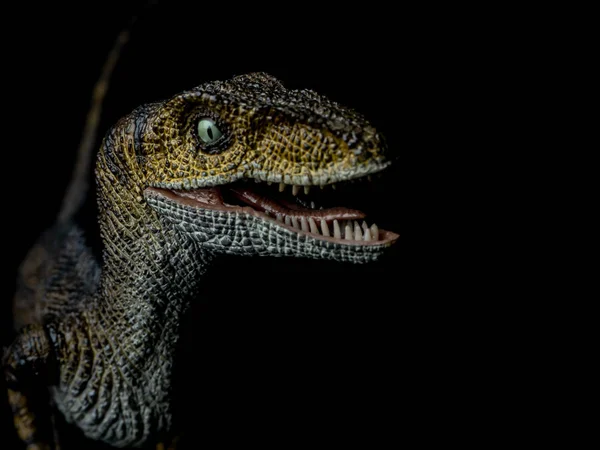 Velociraptor Dinosaurier auf schwarzem Hintergrund — Stockfoto
