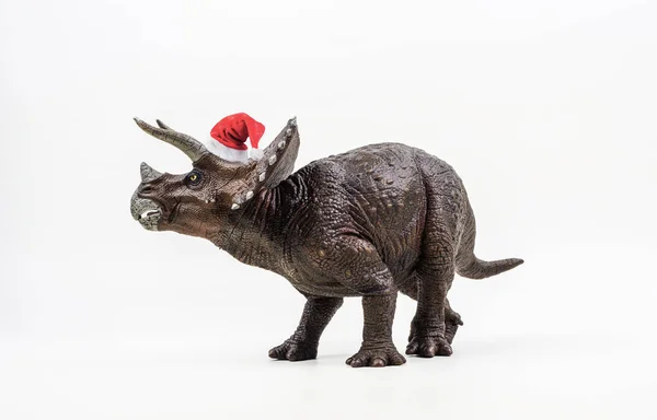 Трицератопс, динозавр в рождественской шляпе на белом фоне — стоковое фото