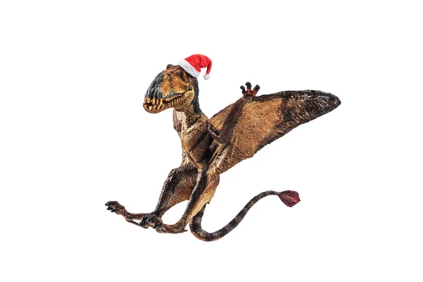 Диморфодон динозавр в рождественской шляпе на белом фоне — стоковое фото